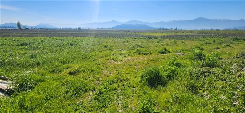 Agrícola en venta en Teno