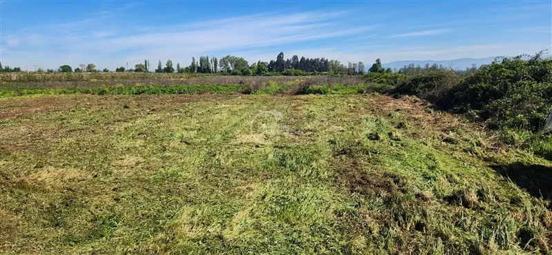 Agrícola en venta en Teno