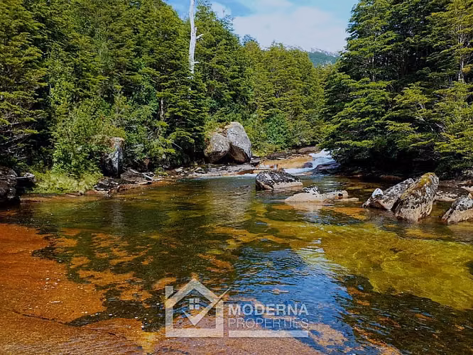 Agrícola en venta en Cisnes