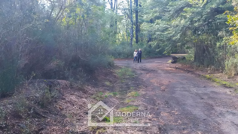 Parcela en venta en Pucón - Imagen 15