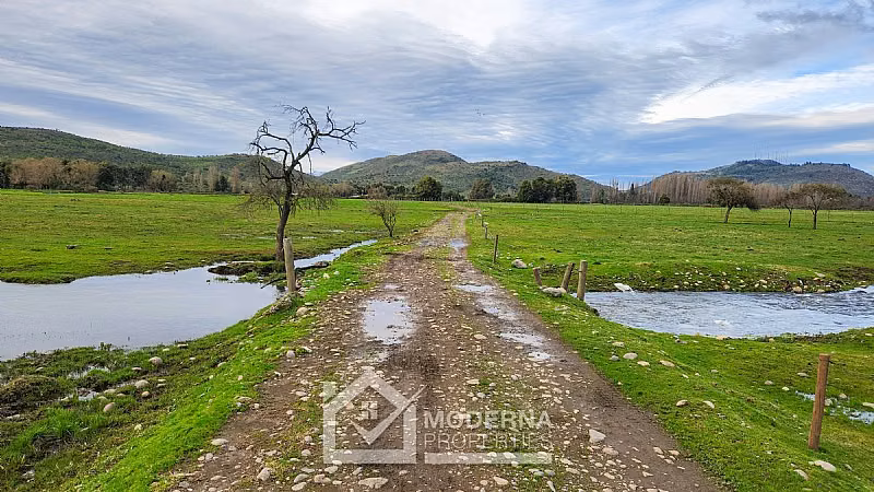 Agrícola en venta en Villa Alegre