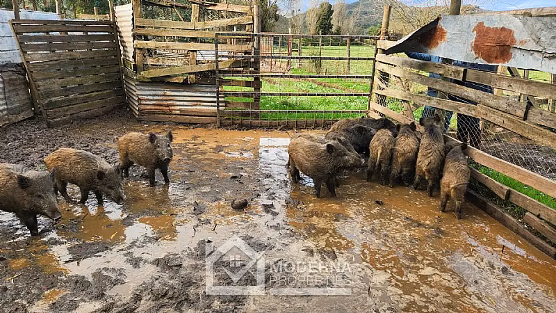 Agrícola en venta en Villa Alegre