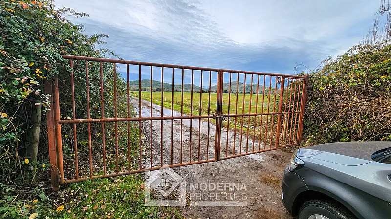Agrícola en venta en Villa Alegre