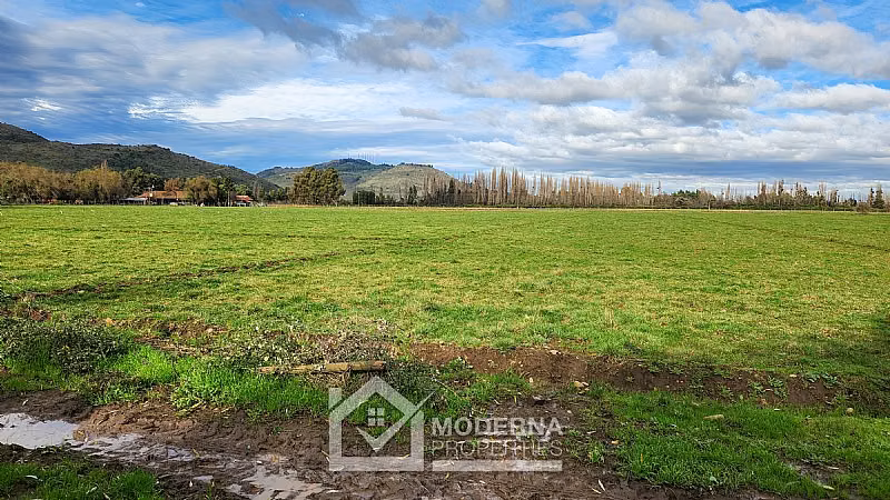 Agrícola en venta en Villa Alegre