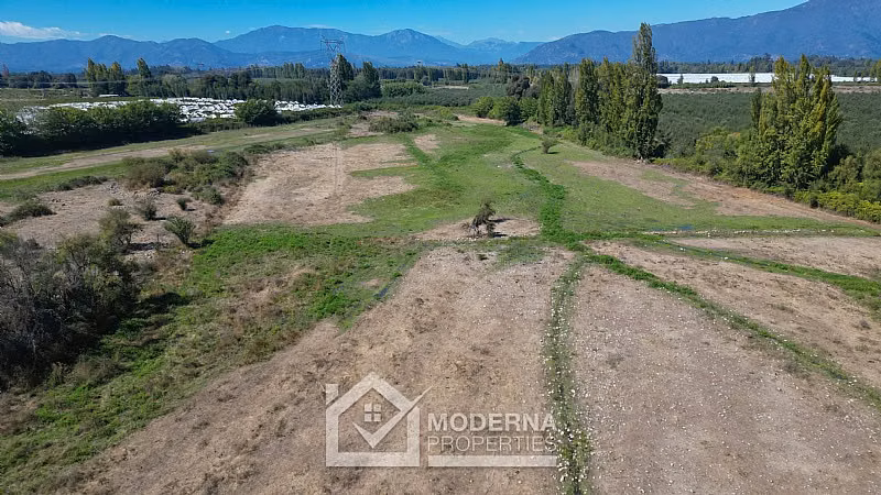 Agrícola en venta en Molina