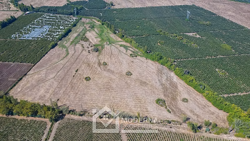 Agrícola en venta en Molina