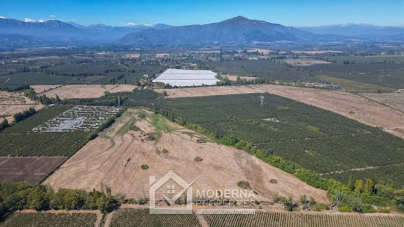 Agrícola en venta en Molina
