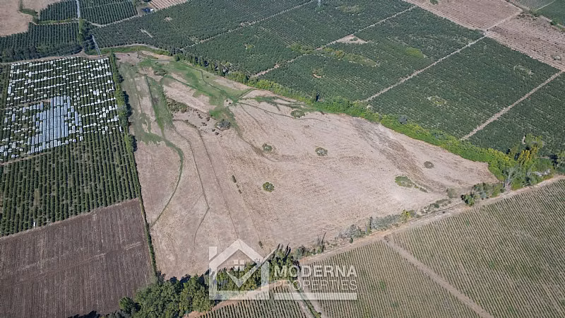 Agrícola en venta en Molina