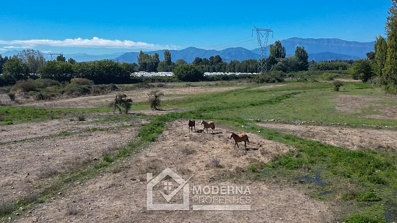 Agrícola en venta en Molina