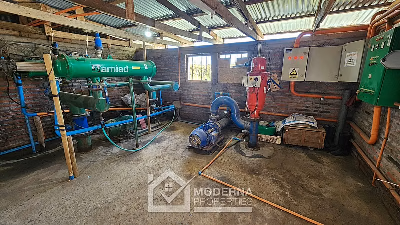 Agrícola en venta en Teno