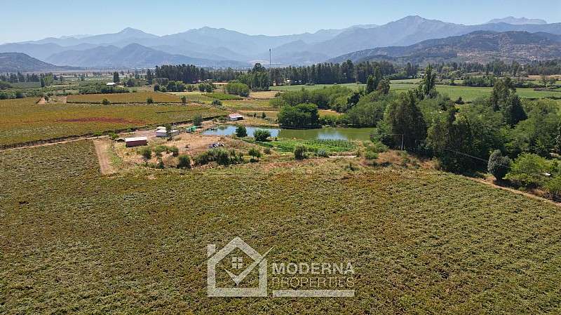 Agrícola en venta en Teno