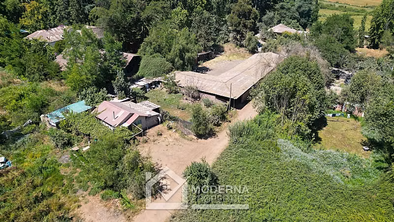 Agrícola en venta en Teno