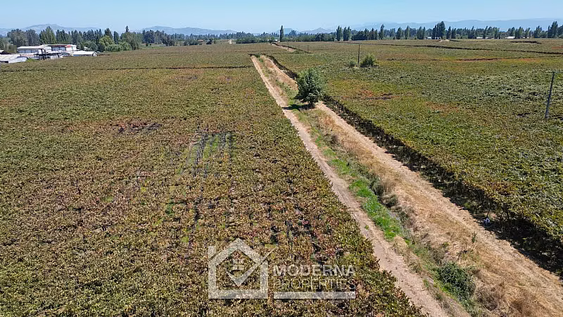 Agrícola en venta en Teno