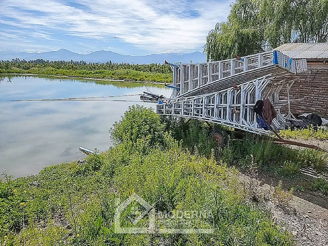 Agrícola en venta en Teno