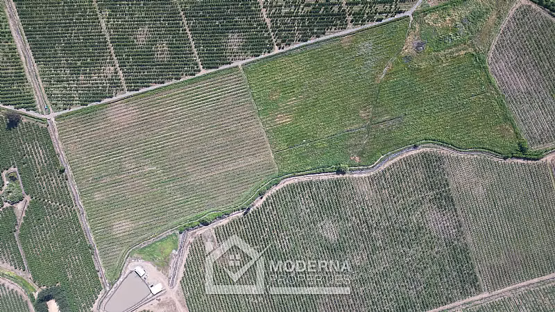 Agrícola en venta en Teno