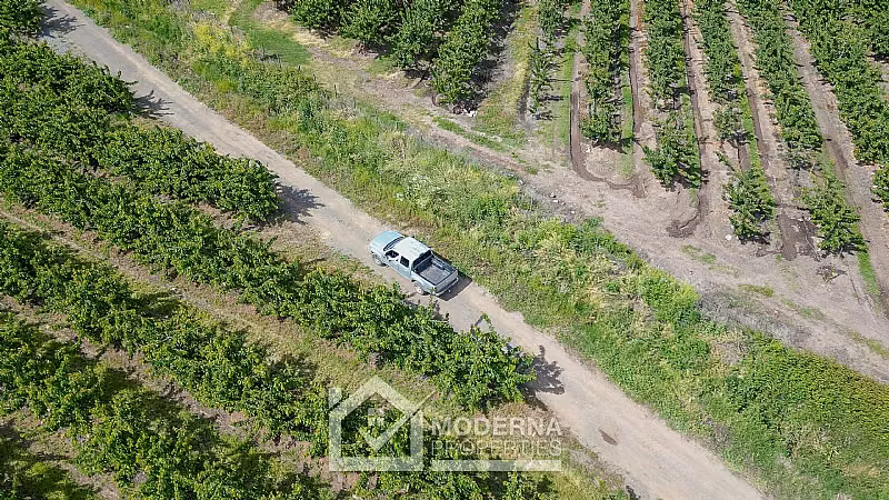 Agrícola en venta en Teno