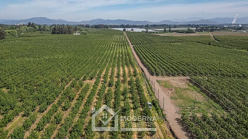 Agrícola en venta en Teno