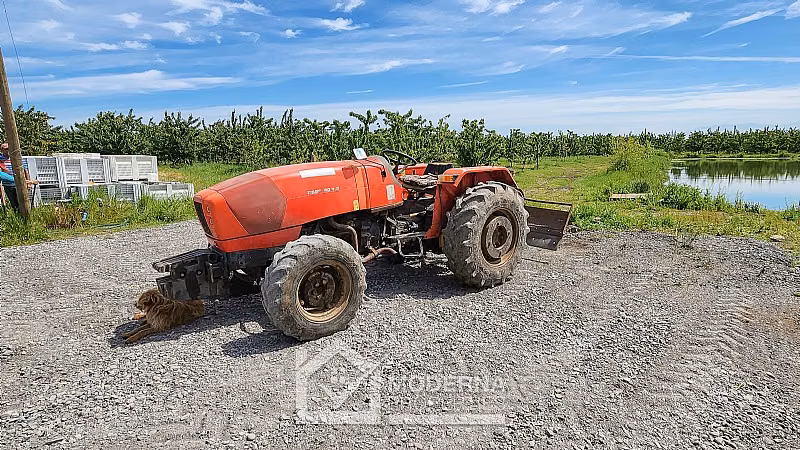 Agrícola en venta en Teno
