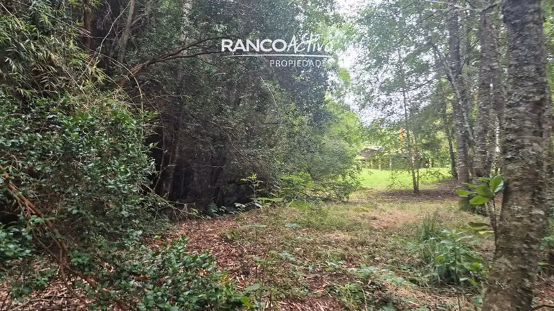 En venta casa en parcela 4 dorm y piscina cerca Valdivia
