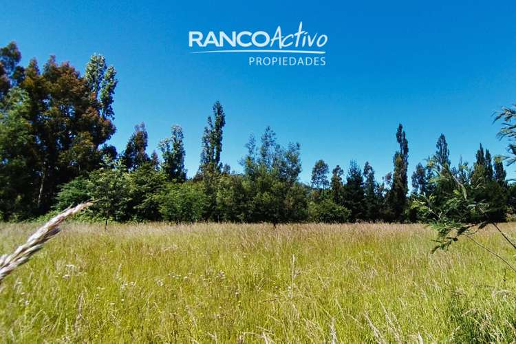 Sitio en arriendo en Padre las Casas