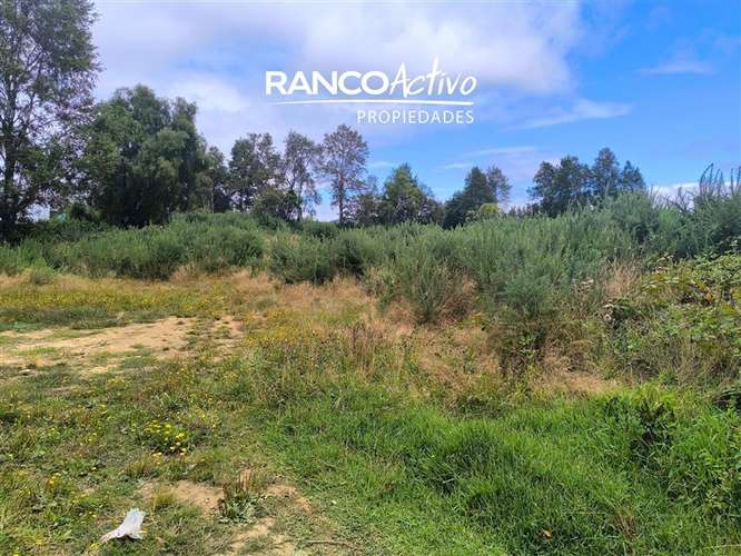 Parcela en venta Las Gaviotas Poste 17, Valdivia. - Imagen 13