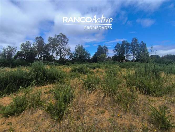 Parcela en venta Las Gaviotas Poste 17, Valdivia. - Imagen 12