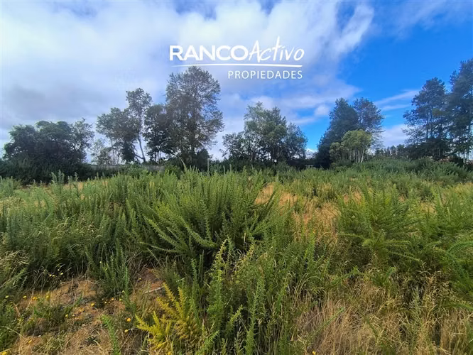 Parcela en venta Las Gaviotas Poste 17, Valdivia.
