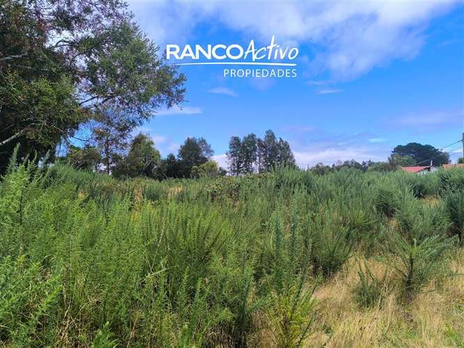 Parcela en venta Las Gaviotas Poste 17, Valdivia. - Imagen 9