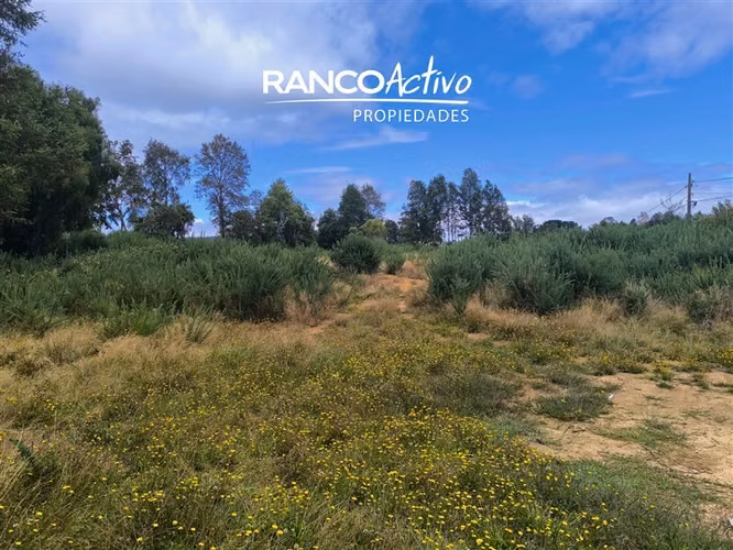 Parcela en venta Las Gaviotas Poste 17, Valdivia.