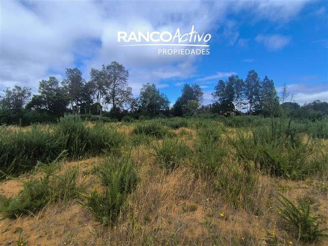 Parcela en venta Las Gaviotas Poste 17, Valdivia. - Imagen 6