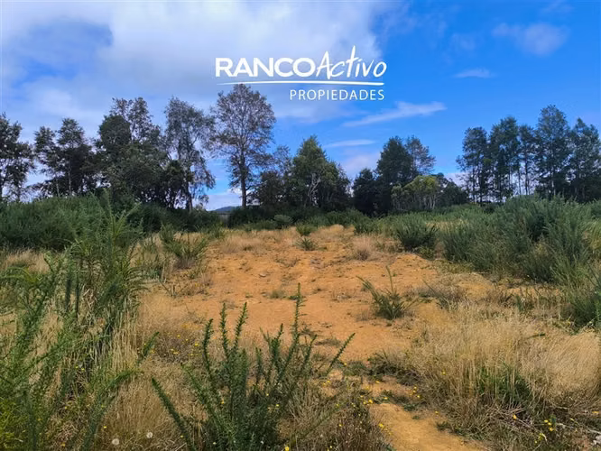 Parcela en venta Las Gaviotas Poste 17, Valdivia.
