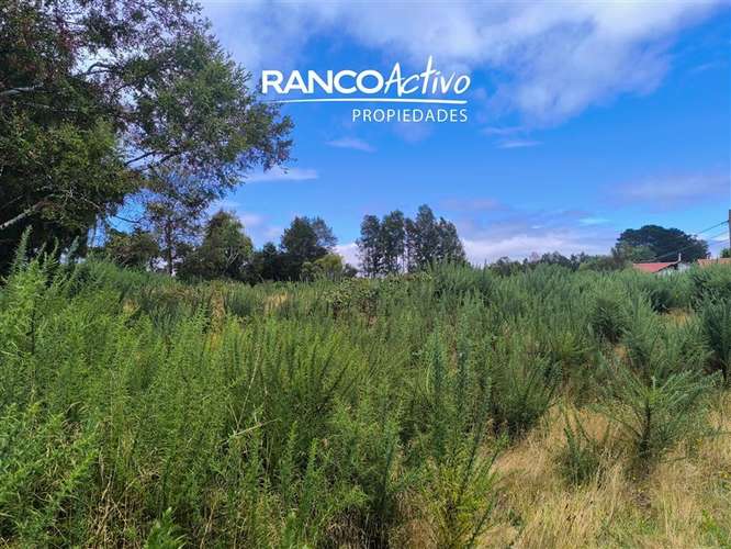 Parcela en venta Las Gaviotas Poste 17, Valdivia. - Imagen 8
