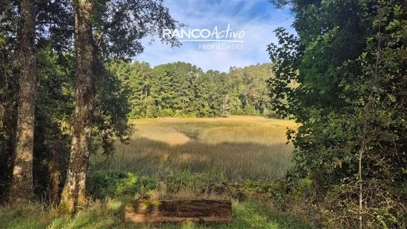 Casa en venta de 6D 5B con Piscina en Angachilla, Valdivia - Imagen 22