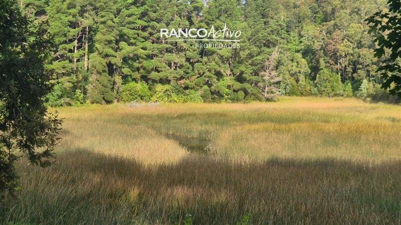Casa en venta de 6D 5B con Piscina en Angachilla, Valdivia - Imagen 23