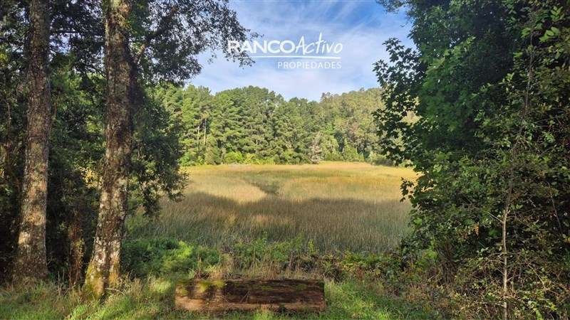 Casa en venta de 6D 5B con Piscina en Angachilla, Valdivia - Imagen 22