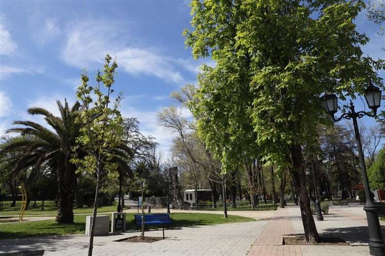 Sitio comercial, frente a plaza Chillán Viejo.