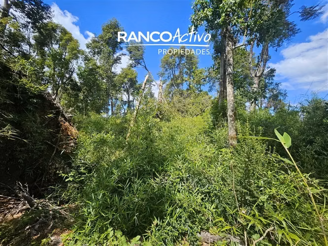 Parcela en condominio Green Paradise, Paillaco, Valdivia