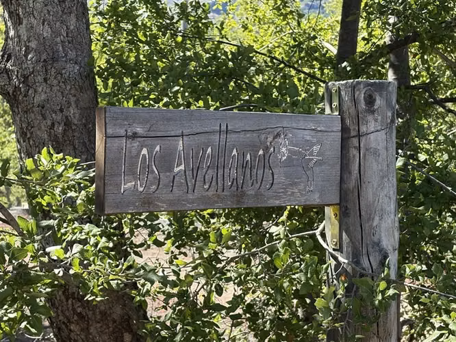 Cabaña de Montaña en Las Trancas, Termas de Chilán