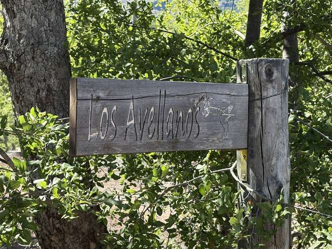 Cabaña de Montaña en Las Trancas, Termas de Chilán - Imagen 19