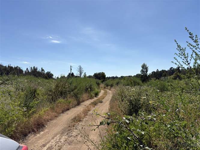 Terreno Agrícola de 9 ha en venta en Quillón