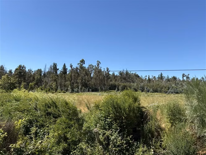 Terreno Agrícola de 9 ha en venta en Quillón
