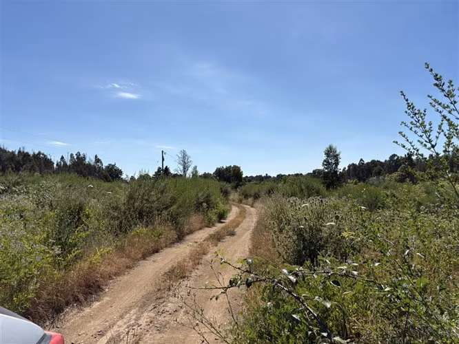 Terreno Agrícola de 9 ha en venta en Quillón