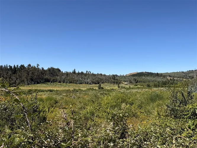 Terreno Agrícola de 9 ha en venta en Quillón