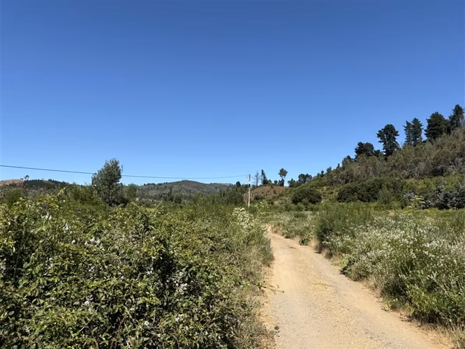Terreno Agrícola de 9 ha en venta en Quillón