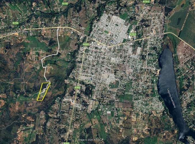 Terreno Agrícola de 9 ha en venta en Quillón