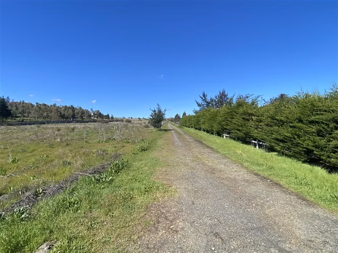 Oportunidad Parcela 8.300 m2, Camino a Huape, Chillán - Imagen 10