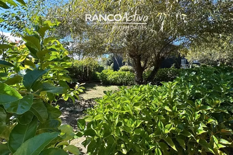 Casa y Parcela 6100m2 con Orilla de Río a 20 Min de Valdivia