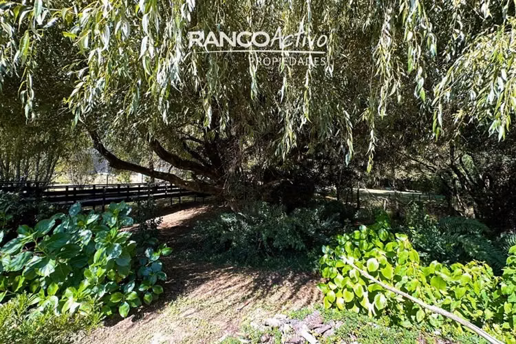 Casa y Parcela 6100m2 con Orilla de Río a 20 Min de Valdivia