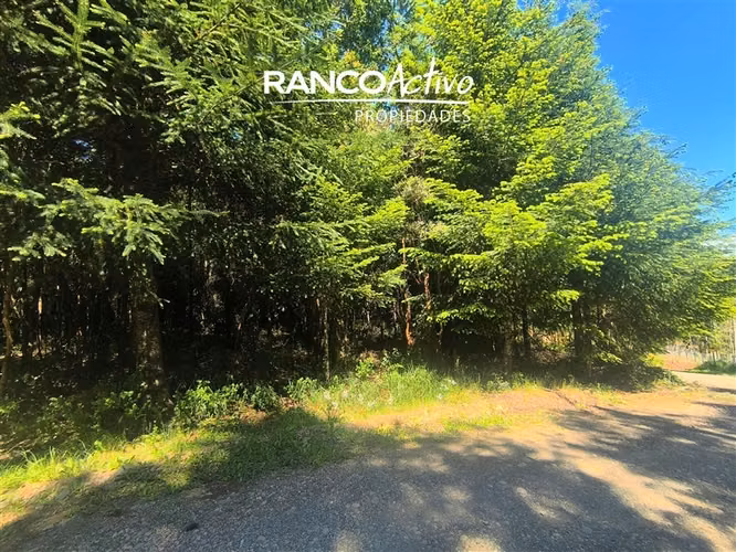 Se vende parcela en Alto Río, Fundo Amancay, Valdivia