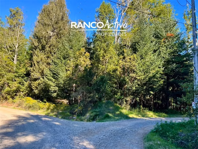 Se vende parcela en Alto Río, Fundo Amancay, Valdivia